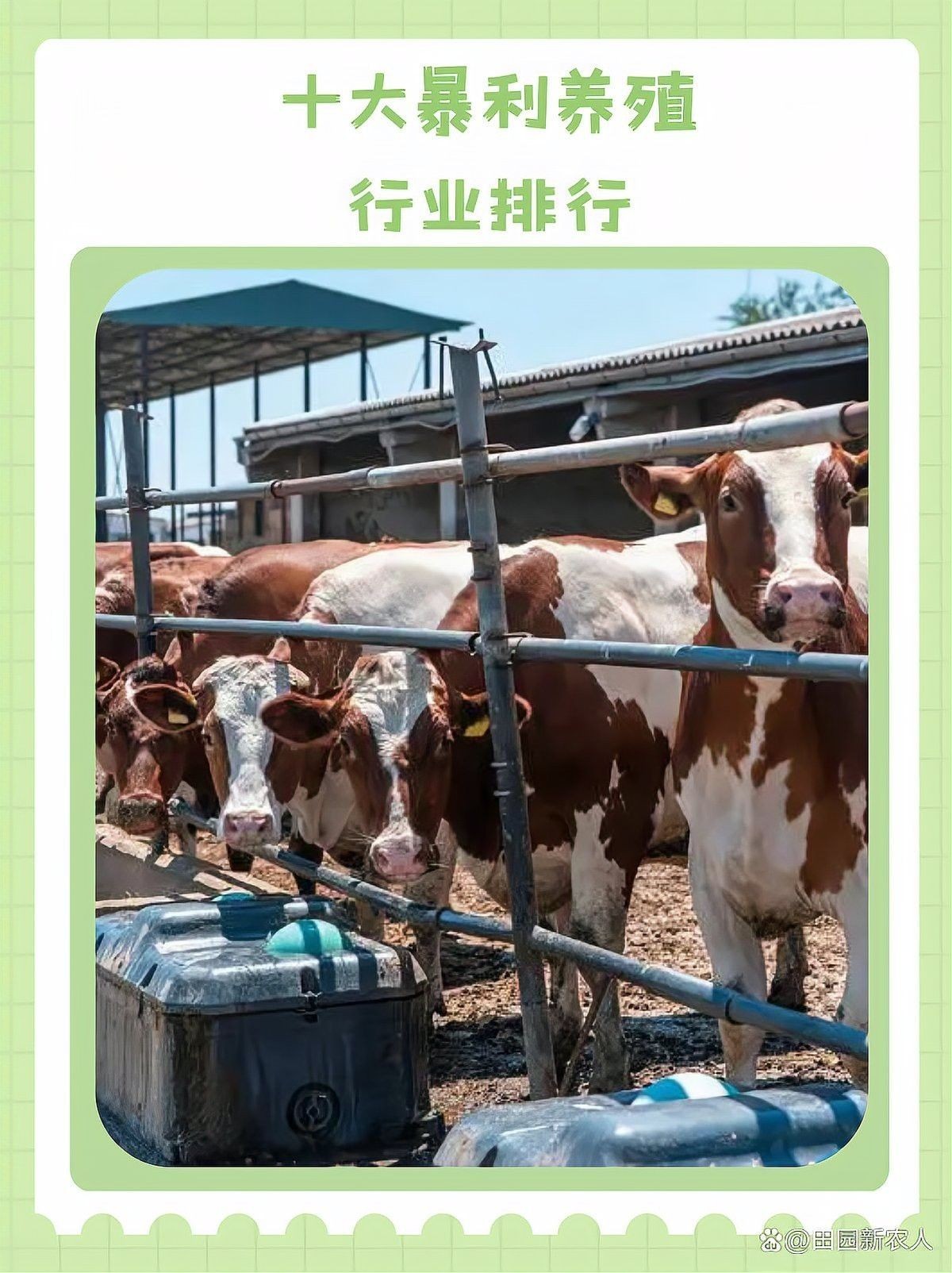 十大暴利養殖行業排行【《十大暴利行業養殖行業排行》*利養殖行業排名】