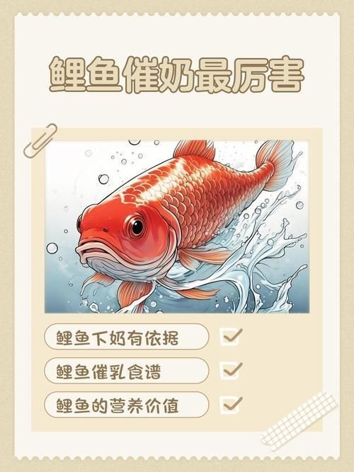 玉州龍魚的價(jià)格是多少？，主流觀賞龍魚價(jià)格對(duì)比表
