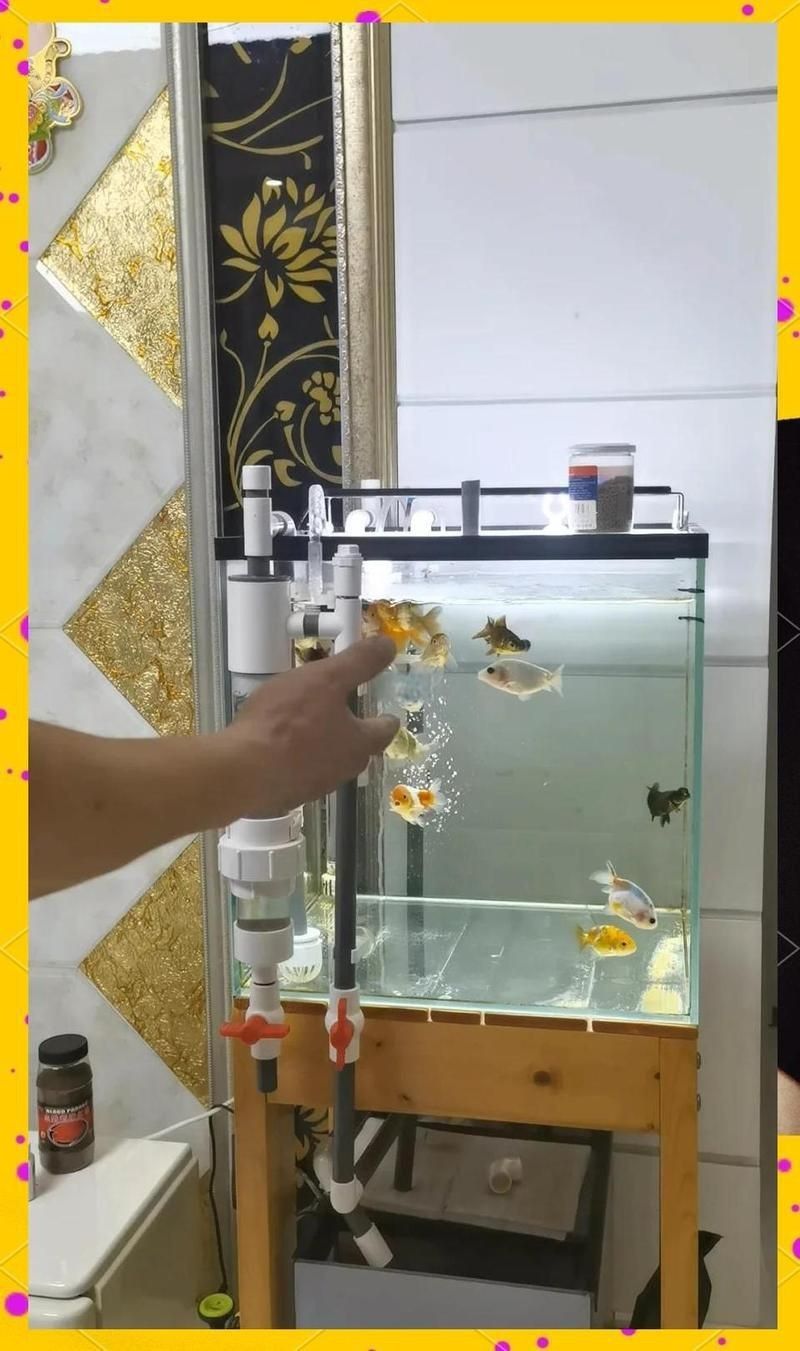 可麗愛魚便收集器怎么使用【可麗愛魚便收集器使用方法】