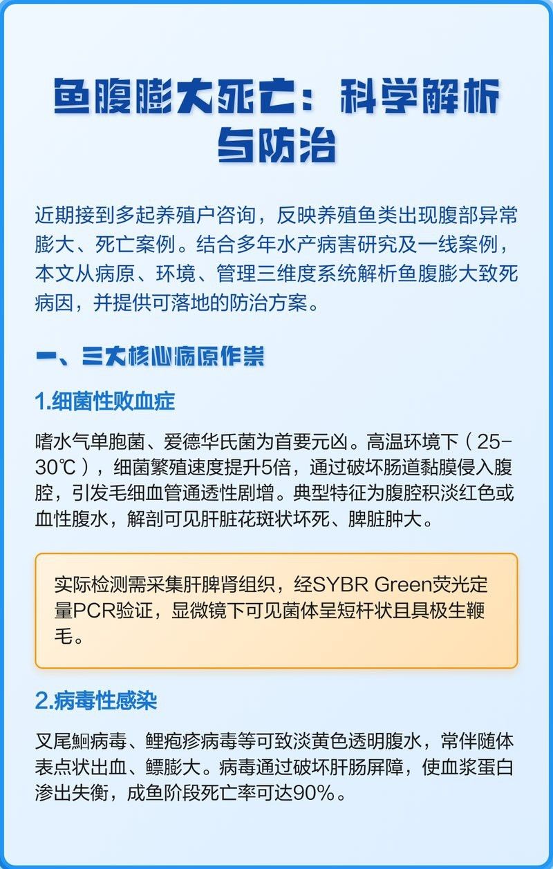 如何預(yù)防龍魚腹部腫脹?【龍魚常見病癥—腹水病龍魚腹部腫脹怎么處理】 龍魚百科 第1張 如何預(yù)防龍魚腹部腫脹?【龍魚常見病癥—腹水病龍魚腹部腫脹怎么處理】 如何預(yù)防龍魚腹部腫脹?【龍魚常見病癥—腹水病龍魚腹部腫脹怎么處理】 龍魚百科 第1張