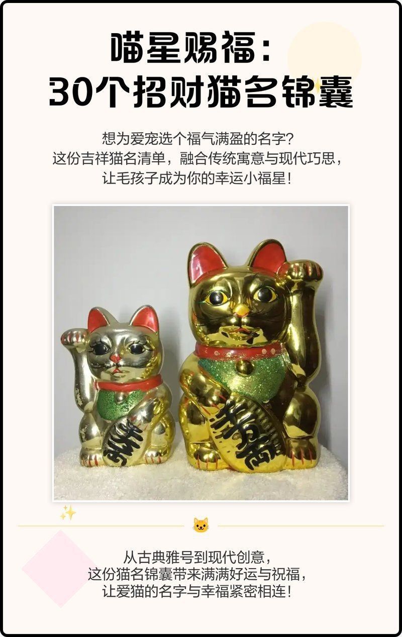 紅尾鯰為什么叫招財貓【紅尾鯰為什么叫“招財貓”】