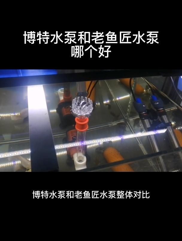 老魚匠和博特水泵對比【《還是老魚匠和博特水泵好，對比水泵推薦:老魚匠和博特哪個好】