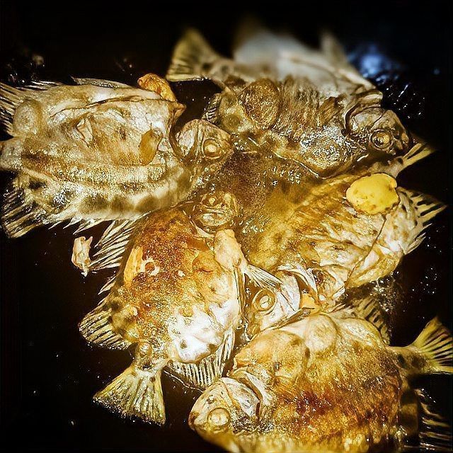 金鼓魚最好吃的6種做法【《金鼓魚最好吃的6種做法》】