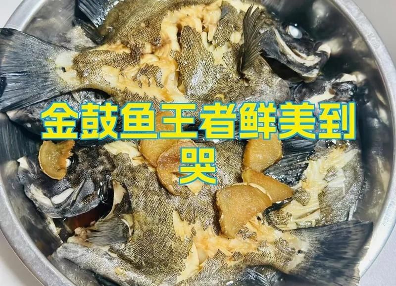 金鼓魚最好吃的6種做法【《金鼓魚最好吃的6種做法》】