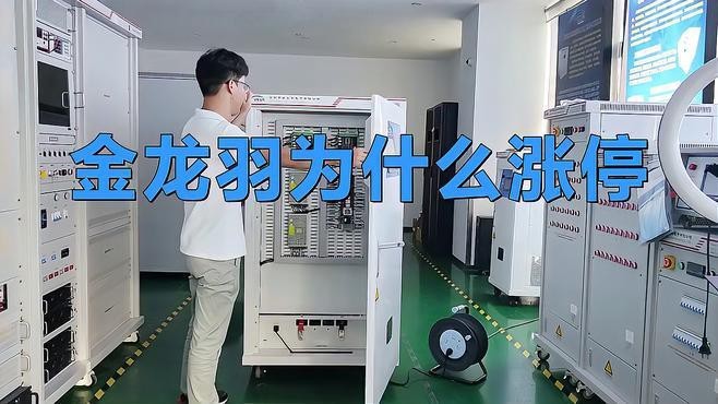 金龍羽股價波動的原因是什么？【金龍羽為什么漲停】