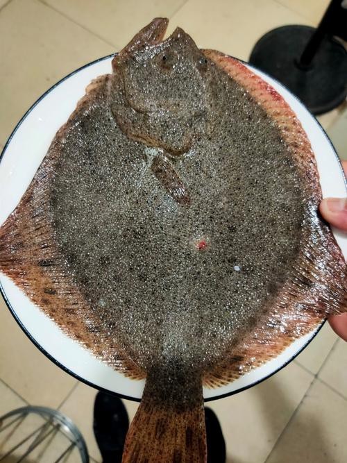 多寶魚(yú)圖片真實(shí)【《多寶魚(yú)圖片真實(shí)》*:多寶魚(yú)作為一種備受關(guān)注的水產(chǎn)品】 龍魚(yú)論壇 第7張 多寶魚(yú)圖片真實(shí)【《多寶魚(yú)圖片真實(shí)》*:多寶魚(yú)作為一種備受關(guān)注的水產(chǎn)品】 多寶魚(yú)圖片真實(shí)【《多寶魚(yú)圖片真實(shí)》*:多寶魚(yú)作為一種備受關(guān)注的水產(chǎn)品】 龍魚(yú)論壇 第7張