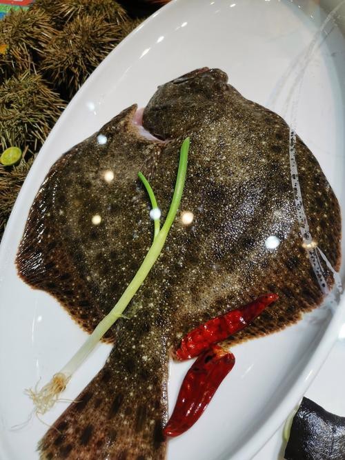 多寶魚(yú)圖片真實(shí)【《多寶魚(yú)圖片真實(shí)》*:多寶魚(yú)作為一種備受關(guān)注的水產(chǎn)品】 龍魚(yú)論壇 第5張 多寶魚(yú)圖片真實(shí)【《多寶魚(yú)圖片真實(shí)》*:多寶魚(yú)作為一種備受關(guān)注的水產(chǎn)品】 多寶魚(yú)圖片真實(shí)【《多寶魚(yú)圖片真實(shí)》*:多寶魚(yú)作為一種備受關(guān)注的水產(chǎn)品】 龍魚(yú)論壇 第5張