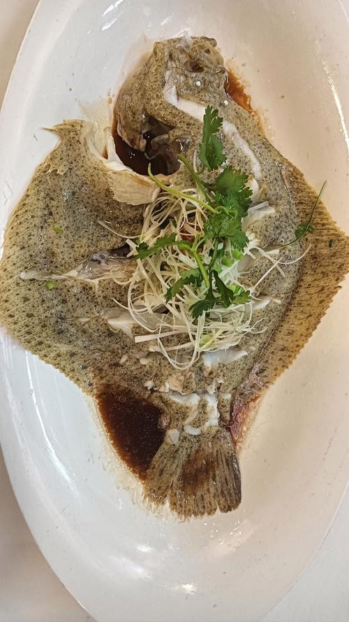 多寶魚(yú)圖片真實(shí)【《多寶魚(yú)圖片真實(shí)》*:多寶魚(yú)作為一種備受關(guān)注的水產(chǎn)品】 龍魚(yú)論壇 第14張 多寶魚(yú)圖片真實(shí)【《多寶魚(yú)圖片真實(shí)》*:多寶魚(yú)作為一種備受關(guān)注的水產(chǎn)品】 多寶魚(yú)圖片真實(shí)【《多寶魚(yú)圖片真實(shí)》*:多寶魚(yú)作為一種備受關(guān)注的水產(chǎn)品】 龍魚(yú)論壇 第14張