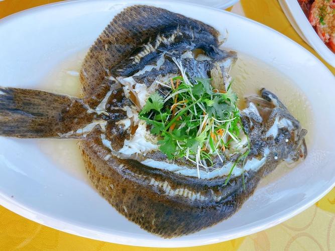多寶魚(yú)圖片真實(shí)【《多寶魚(yú)圖片真實(shí)》*:多寶魚(yú)作為一種備受關(guān)注的水產(chǎn)品】 龍魚(yú)論壇 第21張 多寶魚(yú)圖片真實(shí)【《多寶魚(yú)圖片真實(shí)》*:多寶魚(yú)作為一種備受關(guān)注的水產(chǎn)品】 多寶魚(yú)圖片真實(shí)【《多寶魚(yú)圖片真實(shí)》*:多寶魚(yú)作為一種備受關(guān)注的水產(chǎn)品】 龍魚(yú)論壇 第21張