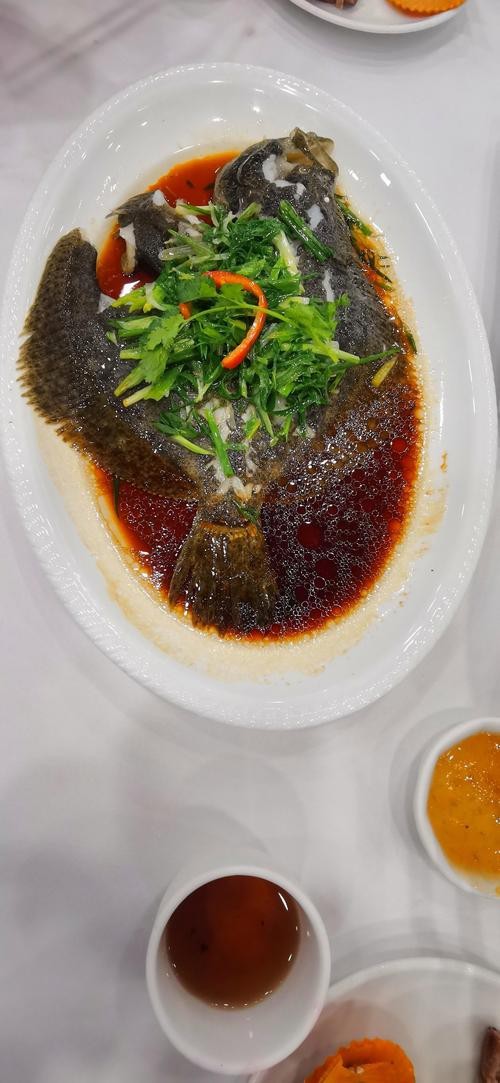 多寶魚(yú)圖片真實(shí)【《多寶魚(yú)圖片真實(shí)》*：多寶魚(yú)作為一種備受關(guān)注的水產(chǎn)品】 多寶魚(yú)圖片真實(shí)【《多寶魚(yú)圖片真實(shí)》*：多寶魚(yú)作為一種備受關(guān)注的水產(chǎn)品】 龍魚(yú)論壇 第27張