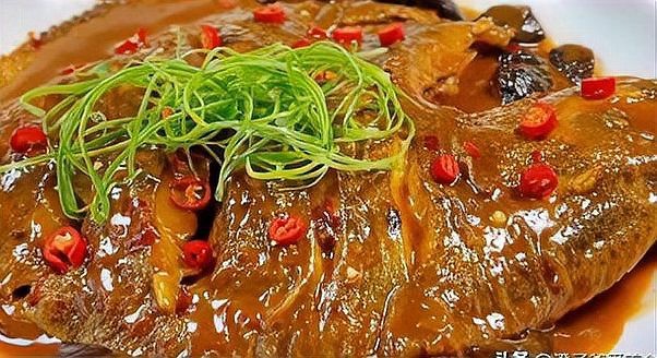 多寶魚(yú)圖片真實(shí)【《多寶魚(yú)圖片真實(shí)》*：多寶魚(yú)作為一種備受關(guān)注的水產(chǎn)品】 多寶魚(yú)圖片真實(shí)【《多寶魚(yú)圖片真實(shí)》*：多寶魚(yú)作為一種備受關(guān)注的水產(chǎn)品】 龍魚(yú)論壇 第30張