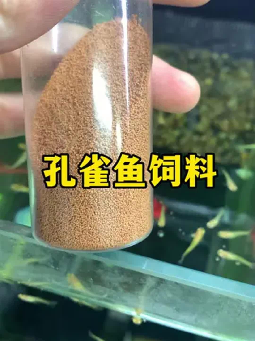 孔雀魚飼料哪個牌子好【孔雀魚飼料哪個牌子好孔雀魚飼料哪個牌子好】