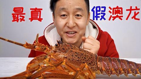 如何區(qū)分真假澳龍？【區(qū)分真假澳龍需從多個(gè)方面著手區(qū)分真假澳龍需從多個(gè)方面著手】