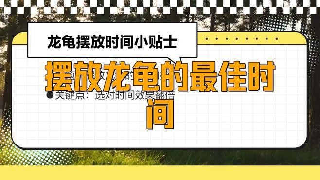 龍龜擺放時(shí)需要開(kāi)光嗎？【龍龜開(kāi)光最簡(jiǎn)單方法不是錦鯉樹(shù)龍龜開(kāi)光最靈三個(gè)咒p圖匠小色醬】