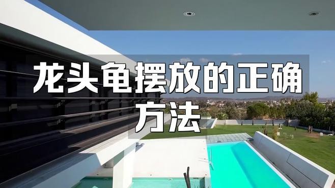 龍龜擺放時(shí)需要開(kāi)光嗎？【龍龜開(kāi)光最簡(jiǎn)單方法不是錦鯉樹(shù)龍龜開(kāi)光最靈三個(gè)咒p圖匠小色醬】