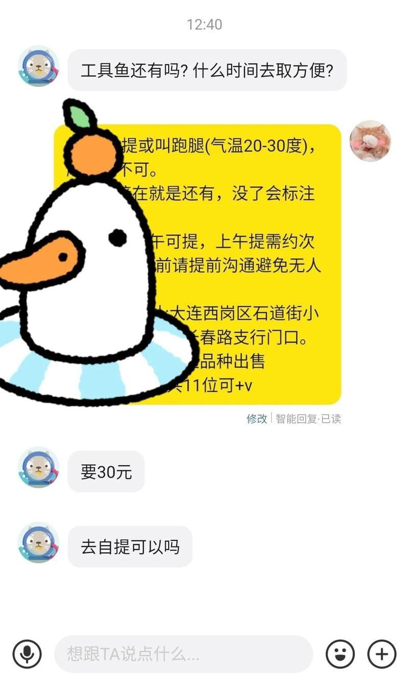 迷彩胡子和黃金胡子會雜交嗎【迷彩胡子與黃金胡子能否雜交】