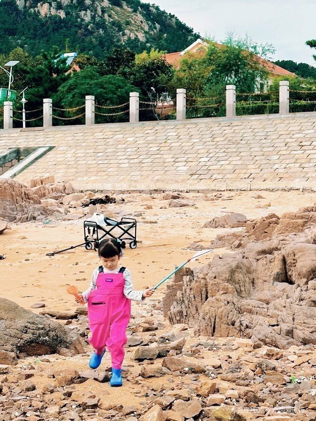 青島趕海必去十大魚【《青島趕海必去十大勝地全攻略》青島趕海必去十大勝地】 青島趕海必去十大魚【《青島趕海必去十大勝地全攻略》青島趕海必去十大勝地】 龍魚論壇 第2張