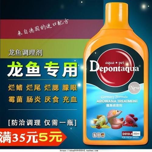 龍魚爛鰓最怕三個東西圖片【龍魚爛鰓最怕的三個關鍵因素】