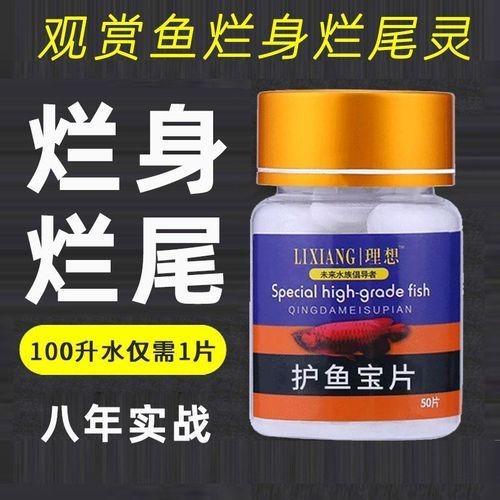 龍魚爛鰓最怕三個東西圖片【龍魚爛鰓最怕的三個關鍵因素】