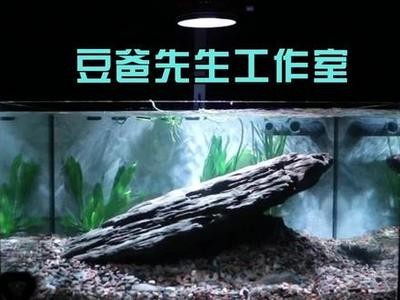 內蒙水鴉魚缸最簡單三個步驟【《內蒙水鴉魚缸最簡單三個步驟》】