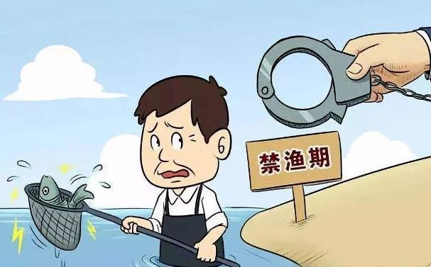 水肺打魚為什么犯法【水肺打魚的三重法律困境】