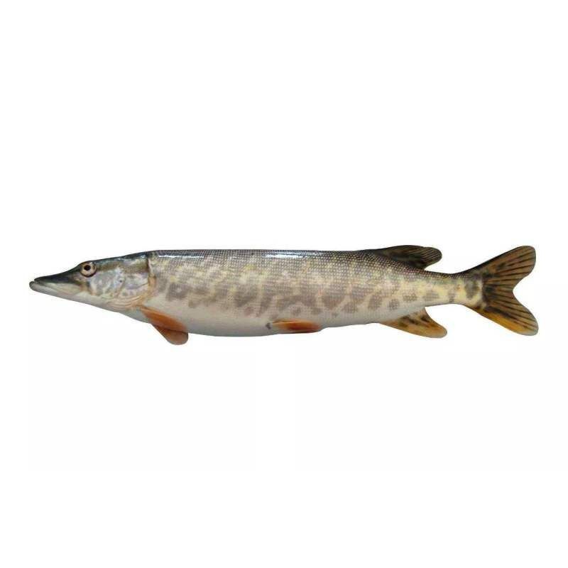 狗魚 <strong><mark>新疆</mark></strong>【《為狗魚與<strong><mark>新疆</mark></strong>的獨特聯系》】