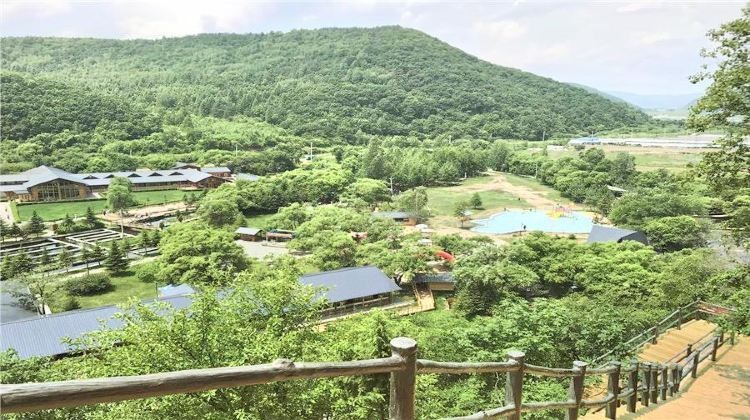 青龍漁場收費價目表【青龍漁場收費價目表摘要**】
