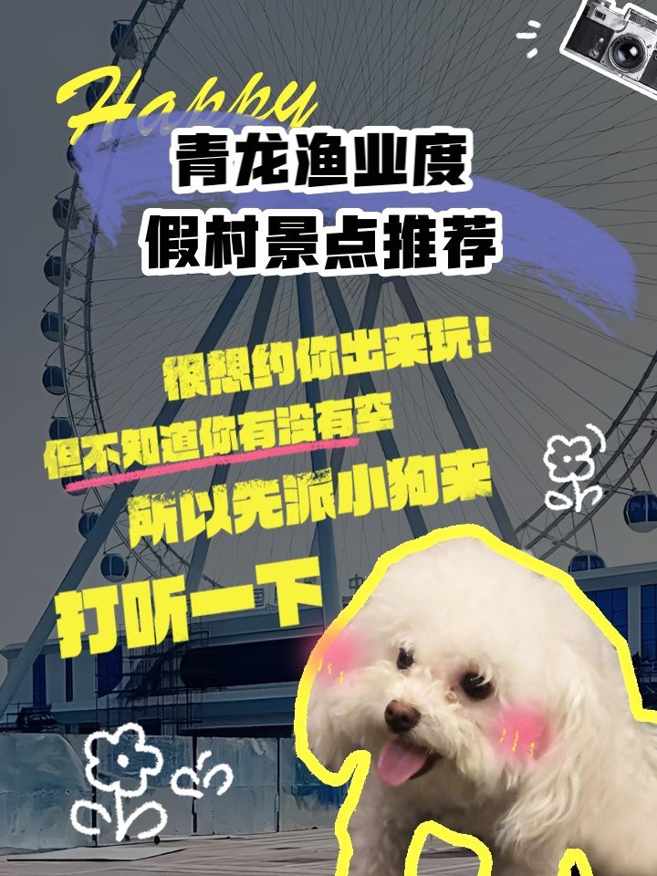 青龍漁場收費價目表【青龍漁場收費價目表摘要**】