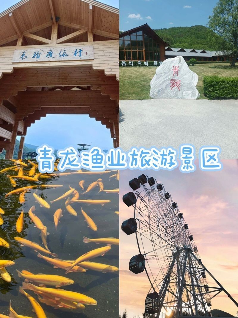 青龍漁場收費價目表【青龍漁場收費價目表摘要**】