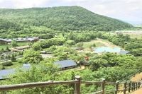 青龍漁場收費價目表【青龍漁場收費價目表摘要**】