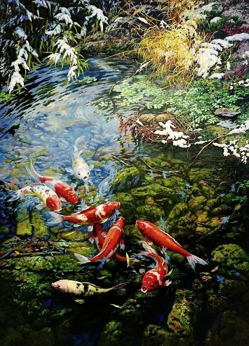 招財山水魚大全圖片【地球取暖指南針，招財魚科普|見者發財非抽象派的俠豬潔】