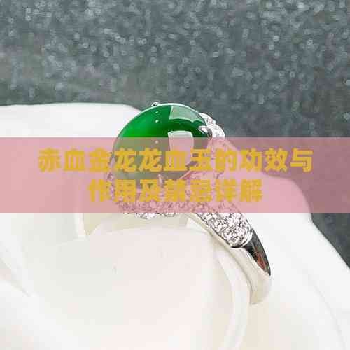 三種人不宜戴龍血玉【三種人群佩戴龍血玉的人群不宜戴龍血玉的人群佩戴】 三種人不宜戴龍血玉【三種人群佩戴龍血玉的人群不宜戴龍血玉的人群佩戴】 龍魚論壇 第7張
