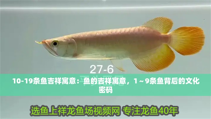 1～20條魚吉祥寓意【1～20條魚的吉祥寓意】