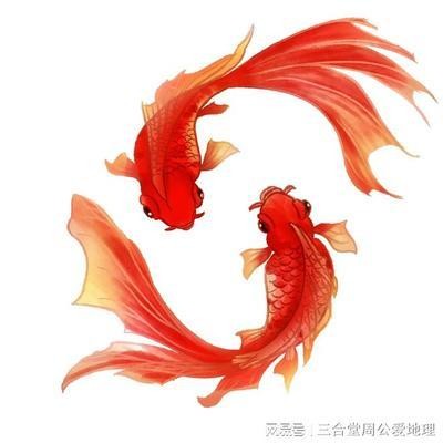 1～20條魚吉祥寓意【1～20條魚的吉祥寓意】