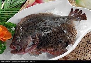 多寶魚長啥樣【《多寶魚：獨特模樣的海洋魚類》】
