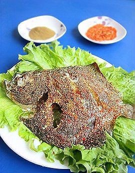 多寶魚長啥樣【《多寶魚：獨特模樣的海洋魚類》】