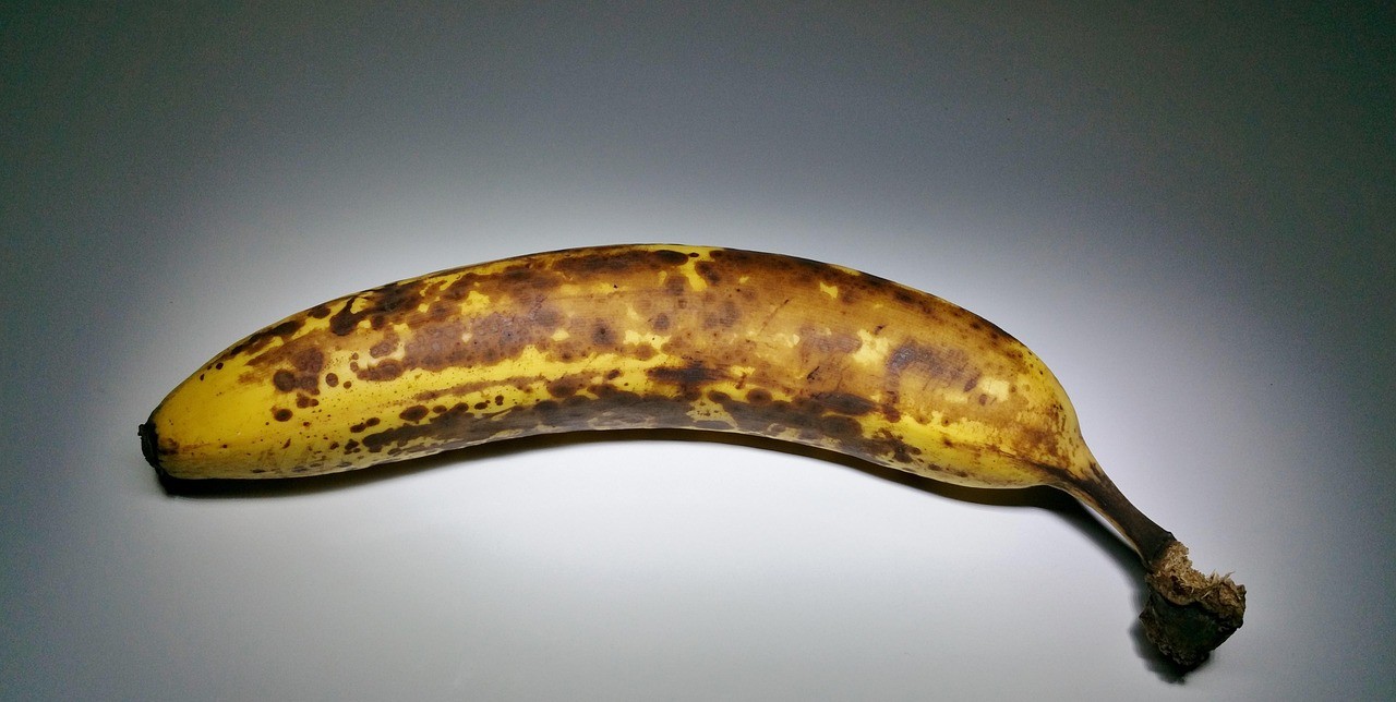 龍魚松鱗最簡單治療方法【龍魚松鱗病最簡單的治療方法】