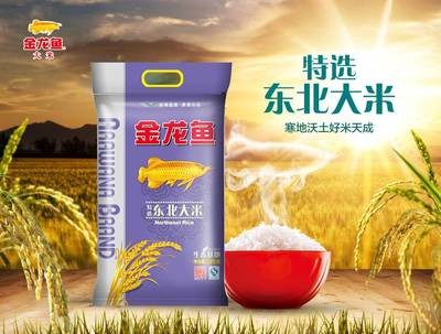 魚缸過濾器選購指南:自制魚缸過濾器魚缸上置過濾器對于養魚愛好者的必備知識 公主嶺市游來游去水族生活館(公主嶺游泳館)【公主嶺市游來游去水族生活館】 全國水族館企業名錄 公主嶺市游來游去水族生活館(公主嶺游泳館)【公主嶺市游來游去水族生活館】 公主嶺市游來游去水族生活館(公主嶺游泳館)【公主嶺市游來游去水族生活館】 全國水族館企業名錄