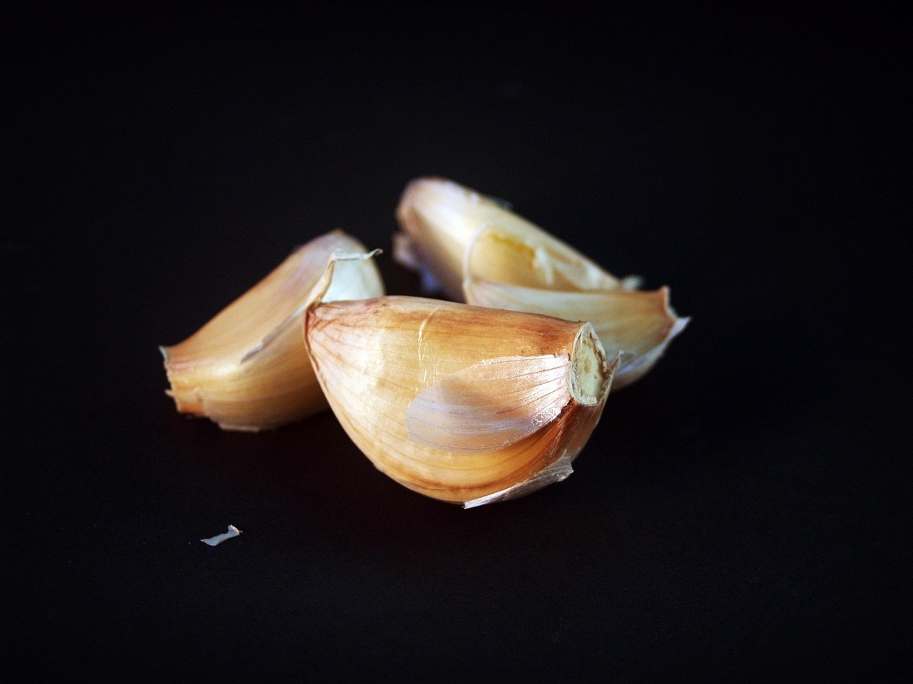 龍魚鰓蓋潰爛用什么藥【龍魚鰓蓋潰爛怎么辦】