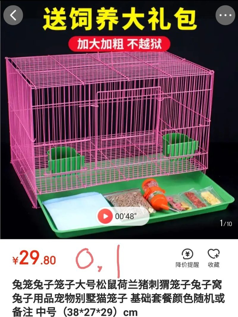 混養龍貓和荷蘭豬需要多大的空間？【龍貓和荷蘭豬分開養需要多大的空間？】