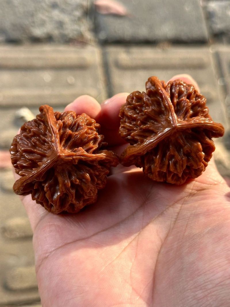 帝王三棱屬于什么檔次【帝王三棱屬于中高端檔次的廚刀品牌**】