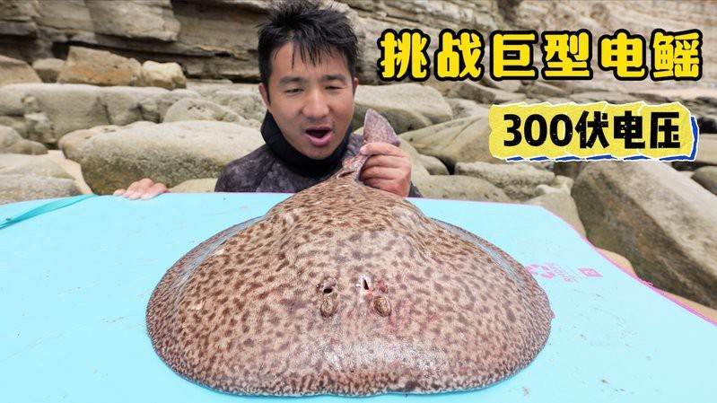 電鰩視頻趕海【《毛里求斯》毛里求斯第1集:趕海被電到尖叫趣說(shuō)自然】