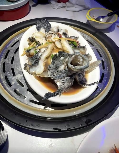 花斑魚圖片大全【-匯圖網匯圖網匯圖網美麗的花斑魚圖片大全】