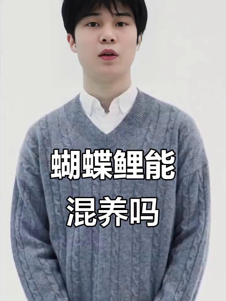 蝴蝶鯉可以跟什么魚混養(yǎng)【蝴蝶鯉可以和什么魚混養(yǎng)】