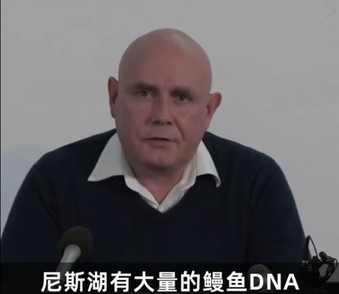 尼斯湖有什么魚【尼斯湖中的魚類】 尼斯湖有什么魚【尼斯湖中的魚類】 龍魚論壇 第3張