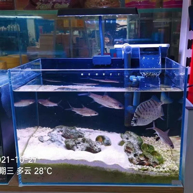吳川市梅菉龍魚坊水族館（梅市梅魚飯店）【吳川市梅菉龍魚坊水族館】