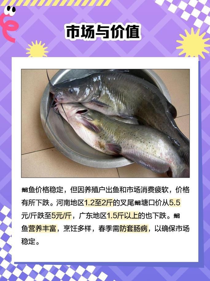 鮰魚圖片大全大圖【《鮰魚圖片大全大圖》】