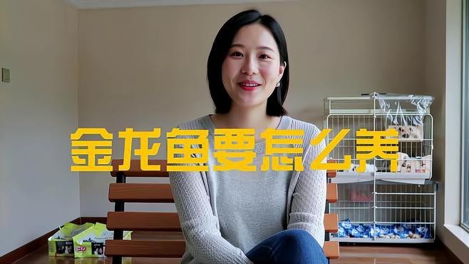 金龍魚的養殖方法和注意事項【金龍魚從幼魚到成魚的完整養殖方法與注意事項與注意事項】 金龍魚的養殖方法和注意事項【金龍魚從幼魚到成魚的完整養殖方法與注意事項與注意事項】 龍魚論壇 第4張