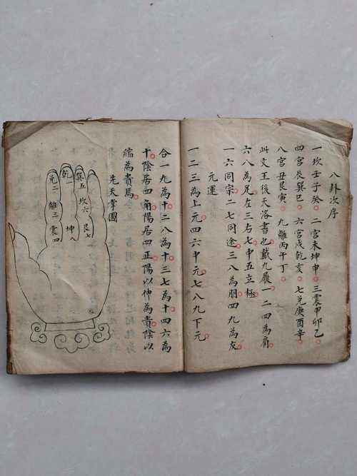 道之龍神圖片【《斗羅大陸》龍神的藝術形象】