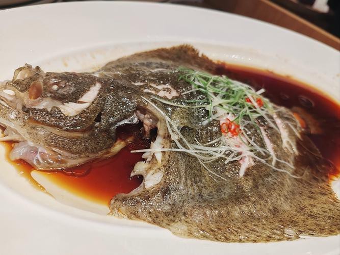 多寶魚長什么樣子圖片【《多寶魚的外貌特征》】